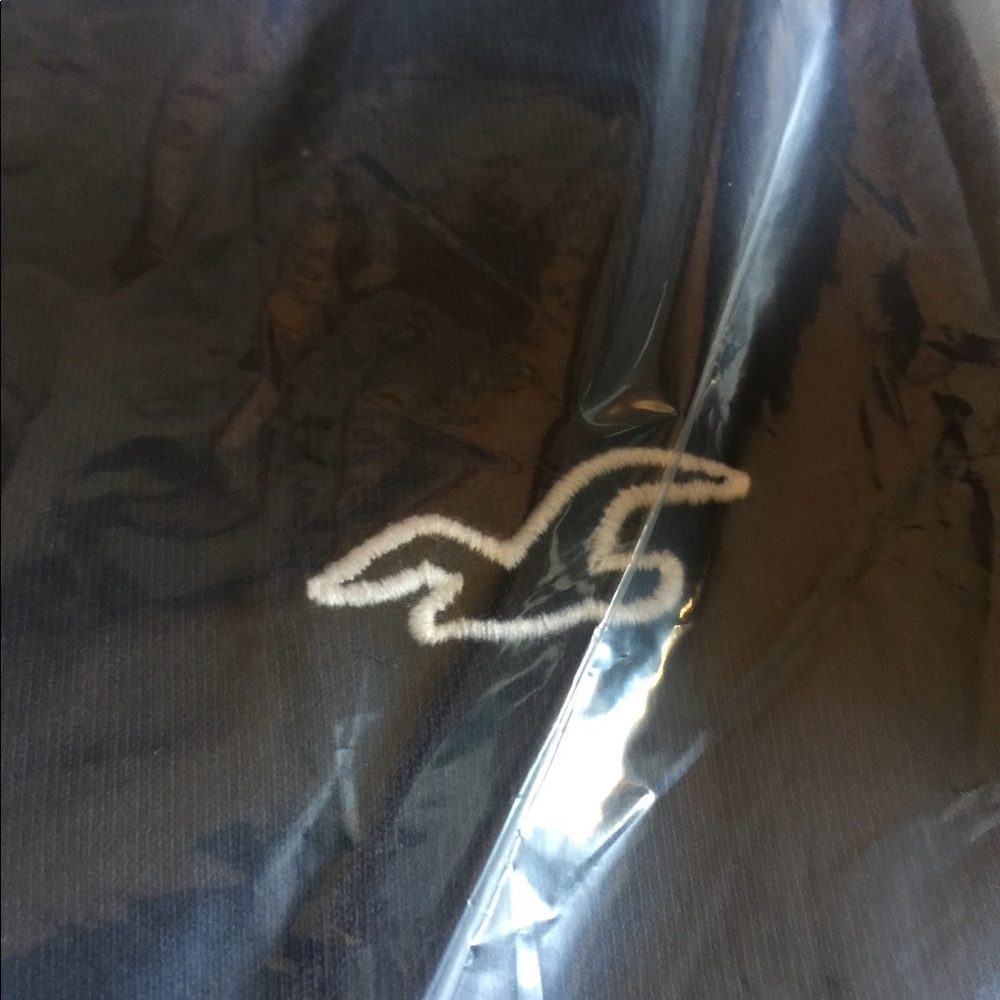 Hollister curved hem t-shirt with logo blue